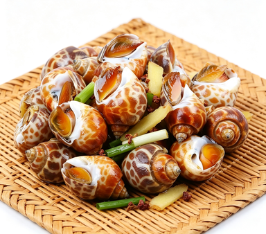 Sea Snails: A Gourmet Seafood Delight