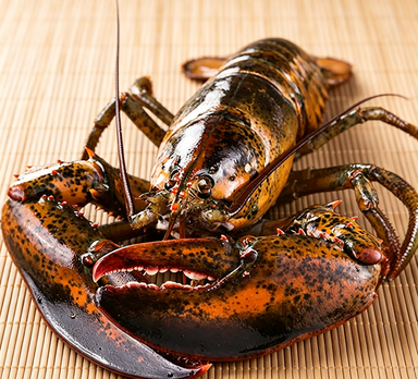 Royal Maine Lobster: Fresh & Succulent